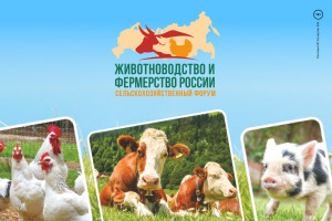 Сельскохозяйственный форум «Животноводство и фермерство России – 2022» состоится 8 декабря 2022