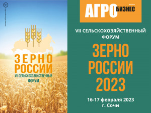 Зерно России - 2023
