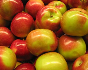 Яблоки кубанские урожай 2016 продаем