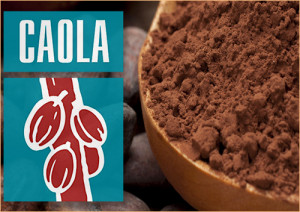 Какао-порошок CAOLA PRO по ГОСТ 108-2014