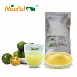 Lime Powder Натуральный фруктовый порошок для соусов
